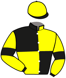 casaque portée par Thonnerieux K. jockey du cheval de course KOUROUKA BLUE, information pmu ZETURF
