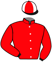 casaque portée par Lemoine G. jockey du cheval de course KHARA DRY, information pmu ZETURF