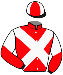 casaque portée par De Jesus Est. jockey du cheval de course MAHINA DE WALLIS, information pmu ZETURF casaque portée par De Jesus Est. jockey du cheval de course MAHINA DE WALLIS, information pmu ZETURF