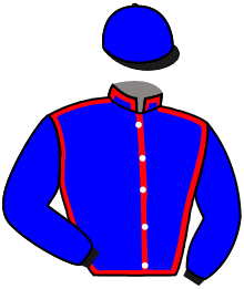 casaque portée par Metivier E. jockey du cheval de course DOMINO DU RAYNAL, information pmu ZETURF casaque portée par Metivier E. jockey du cheval de course DOMINO DU RAYNAL, information pmu ZETURF