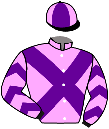 casaque portée par Mayeur R. jockey du cheval de course LEONARDO DU LARGE, information pmu ZETURF casaque portée par Mayeur R. jockey du cheval de course LEONARDO DU LARGE, information pmu ZETURF
