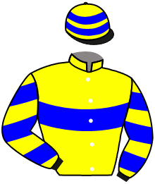 casaque portée par Zuliani L. jockey du cheval de course LADYMISS, information pmu ZETURF casaque portée par Zuliani L. jockey du cheval de course LADYMISS, information pmu ZETURF