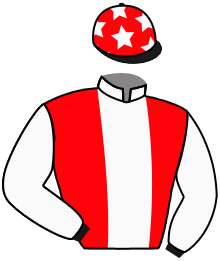 casaque portée par Seguy V. jockey du cheval de course SEE THE DREAM, information pmu ZETURF