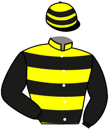 casaque portée par Merille C. jockey du cheval de course DAKOVKA, information pmu ZETURF