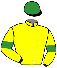 casaque portée par Werle A. jockey du cheval de course HOT IN FRONT, information pmu ZETURF