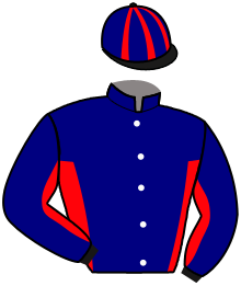 casaque portée par Hauber Mar. jockey du cheval de course NICOLAS MATISSE, information pmu ZETURF casaque portée par Hauber Mar. jockey du cheval de course NICOLAS MATISSE, information pmu ZETURF