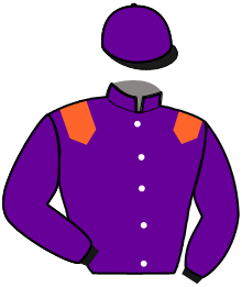 casaque portée par Nivard F. jockey du cheval de course JUNINIO FLEURY, information pmu ZETURF casaque portée par Nivard F. jockey du cheval de course JUNINIO FLEURY, information pmu ZETURF