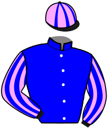 casaque portée par Barrier A. jockey du cheval de course LADY D'ECAJEUL, information pmu ZETURF casaque portée par Barrier A. jockey du cheval de course LADY D'ECAJEUL, information pmu ZETURF