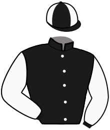 casaque portée par Lagadeuc F. jockey du cheval de course FOR EVER THE BEST, information pmu ZETURF casaque portée par Lagadeuc F. jockey du cheval de course FOR EVER THE BEST, information pmu ZETURF