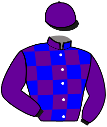casaque portée par Chauve-laffay Q. jockey du cheval de course JANOT DE TOUCHYVON, information pmu ZETURF casaque portée par Chauve-laffay Q. jockey du cheval de course JANOT DE TOUCHYVON, information pmu ZETURF