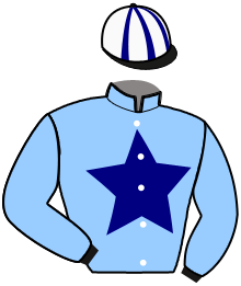 casaque portée par Peltier S. jockey du cheval de course LESNOIX, information pmu ZETURF casaque portée par Peltier S. jockey du cheval de course LESNOIX, information pmu ZETURF