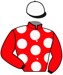 casaque portée par Roussel And. jockey du cheval de course JEAN DES GLENAN, information pmu ZETURF casaque portée par Roussel And. jockey du cheval de course JEAN DES GLENAN, information pmu ZETURF