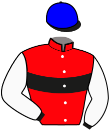 casaque portée par Cingland S. jockey du cheval de course INVICTUS LOVE, information pmu ZETURF casaque portée par Cingland S. jockey du cheval de course INVICTUS LOVE, information pmu ZETURF