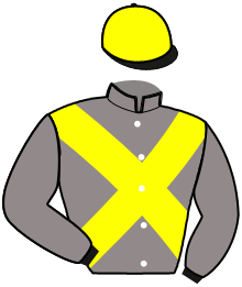 casaque portée par Garcia L. jockey du cheval de course KINGSLAND DE SIMM, information pmu ZETURF