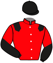 casaque portée par Cinier D. jockey du cheval de course FILLMORE, information pmu ZETURF casaque portée par Cinier D. jockey du cheval de course FILLMORE, information pmu ZETURF
