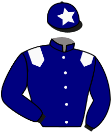 casaque portée par Molins Mme Amb. jockey du cheval de course MIA GRANDE, information pmu ZETURF casaque portée par Molins Mme Amb. jockey du cheval de course MIA GRANDE, information pmu ZETURF
