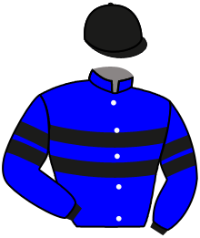 casaque portée par Bails Mlle L. jockey du cheval de course TAHINI, information pmu ZETURF casaque portée par Bails Mlle L. jockey du cheval de course TAHINI, information pmu ZETURF