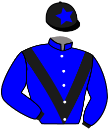 casaque portée par Werle A. jockey du cheval de course WALDENON, information pmu ZETURF casaque portée par Werle A. jockey du cheval de course WALDENON, information pmu ZETURF