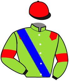 casaque portée par Molins Mme Amb. jockey du cheval de course RUBY IN THE ROCKS, information pmu ZETURF