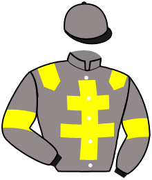 casaque portée par Bodin Ale. jockey du cheval de course JUST IMAGINE, information pmu ZETURF casaque portée par Bodin Ale. jockey du cheval de course JUST IMAGINE, information pmu ZETURF