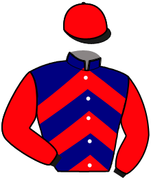 casaque portée par Dauverne D. jockey du cheval de course JAVA DE LANGERON, information pmu ZETURF casaque portée par Dauverne D. jockey du cheval de course JAVA DE LANGERON, information pmu ZETURF