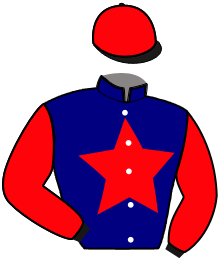 casaque portée par Verva Pie. Y. jockey du cheval de course LEXOVIENNE, information pmu ZETURF