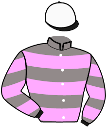 casaque portée par Raffin E. jockey du cheval de course JAG ROYAL, information pmu ZETURF