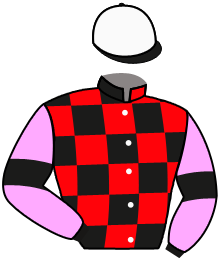 casaque portée par Riou C. jockey du cheval de course JOSHUA MOON, information pmu ZETURF casaque portée par Riou C. jockey du cheval de course JOSHUA MOON, information pmu ZETURF