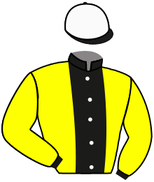 casaque portée par De Giles F. jockey du cheval de course TALENTED, information pmu ZETURF casaque portée par De Giles F. jockey du cheval de course TALENTED, information pmu ZETURF