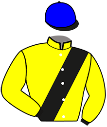 casaque portée par Cadeau J. P. jockey du cheval de course LOVA BELLA TROS, information pmu ZETURF casaque portée par Cadeau J. P. jockey du cheval de course LOVA BELLA TROS, information pmu ZETURF