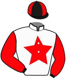 casaque portée par Barrois X. jockey du cheval de course LAPONIE, information pmu ZETURF casaque portée par Barrois X. jockey du cheval de course LAPONIE, information pmu ZETURF
