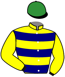 casaque portée par Bourguigneau Tom jockey du cheval de course LOWELL, information pmu ZETURF casaque portée par Bourguigneau Tom jockey du cheval de course LOWELL, information pmu ZETURF