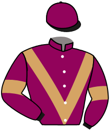 casaque portée par Courmont Y. jockey du cheval de course LEONARD DE BALME, information pmu ZETURF casaque portée par Courmont Y. jockey du cheval de course LEONARD DE BALME, information pmu ZETURF