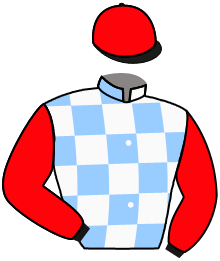 casaque portée par Carre Dor. jockey du cheval de course ASTEROIDE DREAM, information pmu ZETURF casaque portée par Carre Dor. jockey du cheval de course ASTEROIDE DREAM, information pmu ZETURF