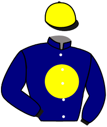 casaque portée par Pageot A. jockey du cheval de course ALE MA SAY, information pmu ZETURF casaque portée par Pageot A. jockey du cheval de course ALE MA SAY, information pmu ZETURF
