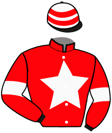 casaque portée par Raffin Th. jockey du cheval de course GEDEON DAIRPET, information pmu ZETURF