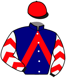 casaque portée par Delacour G. jockey du cheval de course HIRONDELLE FEE, information pmu ZETURF casaque portée par Delacour G. jockey du cheval de course HIRONDELLE FEE, information pmu ZETURF