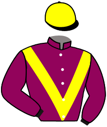 casaque portée par Suisse Mlle Léa jockey du cheval de course IORANA VALLIS, information pmu ZETURF casaque portée par Suisse Mlle Léa jockey du cheval de course IORANA VALLIS, information pmu ZETURF