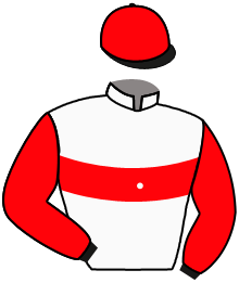 casaque portée par Besnier H. jockey du cheval de course HOLY WOODED, information pmu ZETURF casaque portée par Besnier H. jockey du cheval de course HOLY WOODED, information pmu ZETURF