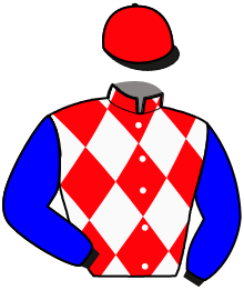 casaque portée par Borodajko J. Ph. jockey du cheval de course LAST ROUND, information pmu ZETURF