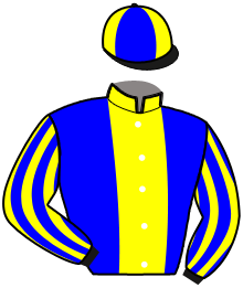 casaque portée par Gelormini G. jockey du cheval de course FANTASTICA DODA, information pmu ZETURF casaque portée par Gelormini G. jockey du cheval de course FANTASTICA DODA, information pmu ZETURF