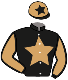 casaque portée par Besnier H. jockey du cheval de course MIVANA, information pmu ZETURF casaque portée par Besnier H. jockey du cheval de course MIVANA, information pmu ZETURF