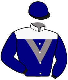 casaque portée par Rochard B. jockey du cheval de course H.C.'S CRAZY HORSE, information pmu ZETURF casaque portée par Rochard B. jockey du cheval de course H.C.'S CRAZY HORSE, information pmu ZETURF