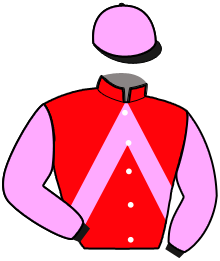 casaque portée par Bizoux Lor. jockey du cheval de course HORACE DES CHAMPS, information pmu ZETURF casaque portée par Bizoux Lor. jockey du cheval de course HORACE DES CHAMPS, information pmu ZETURF