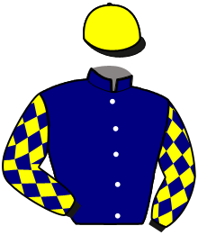 casaque portée par Bakker R. jockey du cheval de course BOURBONISTA, information pmu ZETURF casaque portée par Bakker R. jockey du cheval de course BOURBONISTA, information pmu ZETURF