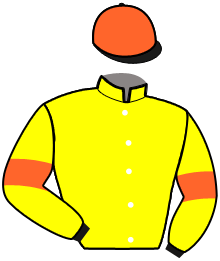 casaque portée par Le Vexier R. jockey du cheval de course LUNE D'ERABLE, information pmu ZETURF