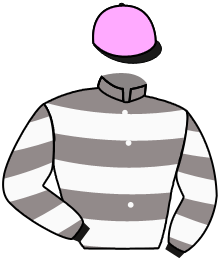 casaque portée par Mouesan H. jockey du cheval de course ANGELOTUS, information pmu ZETURF casaque portée par Mouesan H. jockey du cheval de course ANGELOTUS, information pmu ZETURF