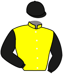 casaque portée par Mme Lucie Castillon jockey du cheval de course HEADHUNTER, information pmu ZETURF casaque portée par Mme Lucie Castillon jockey du cheval de course HEADHUNTER, information pmu ZETURF