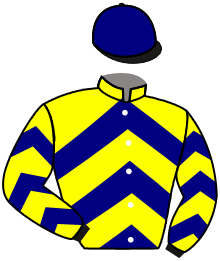 casaque portée par Poggionovo Mme Lau. jockey du cheval de course SALMA, information pmu ZETURF