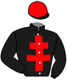 casaque portée par Beileard Mme Cl. jockey du cheval de course HOSCA JIBELA, information pmu ZETURF casaque portée par Beileard Mme Cl. jockey du cheval de course HOSCA JIBELA, information pmu ZETURF
